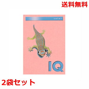 ɓ oCIgbvJ[ 80g A4 BT504 sN 500×2 fB