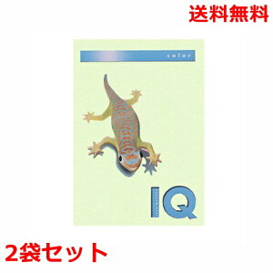 ɓ oCIgbvJ[ 80g A4 BT505 O[ 500×2 fB