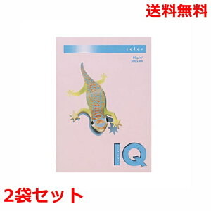 ɓ oCIgbvJ[ 80g A4 BT531 t~S 500×2 fB