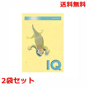 ɓ oCIgbvJ[ 120g A4 BT703 CG[ 250×2 fB