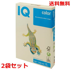 ɓ oCIgbvJ[ 120g A4 BT730 oj 250×2 fB