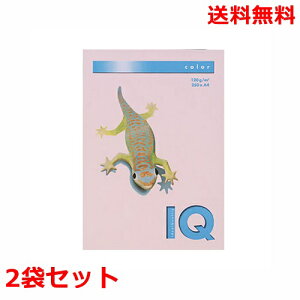 ɓ oCIgbvJ[ 120g A4 BT731 t~S 250×2 fB