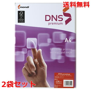 ɓ DNSv~A A4 120g DNS103 50×2 fB