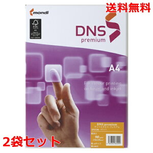 ɓ DNSv~A A4 90g DNS106 100×2 fB
