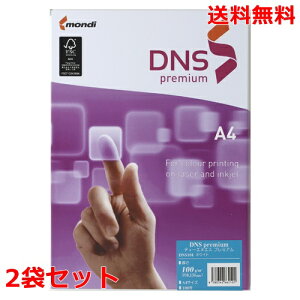 ɓ DNSv~A A4 100g DNS501 500×2 fB