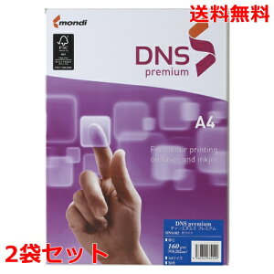 ɓ DNSv~A A4 160g DNS502 250×2 fB