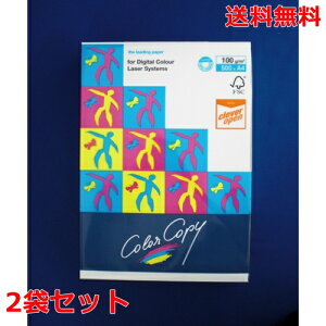 ɓ nCp[[U[Rs[ 100g A4 HP501 zCg 500×2 fB