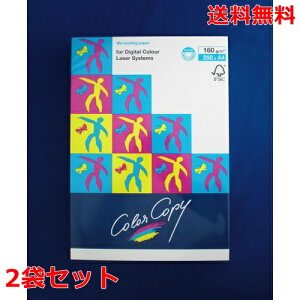 ɓ nCp[[U[Rs[ 160g A4 HP502 zCg 250×2 fB