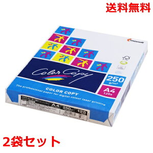ɓ nCp[[U[Rs[ 250g A4 HP5051 zCg 125×2 fB