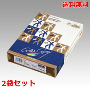 ɓ nCp[[U[Rs[ 100g A4 HP511 i`zCg 500×2 fB