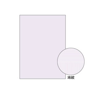 qTS BP2110 A4 Rs[ʗp  100 }`v^[ ^Cv 