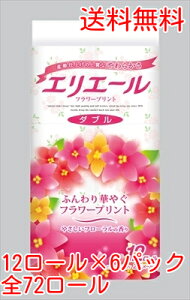 GG[t[vg gCbgy[p[ _u 12[×6 25m 