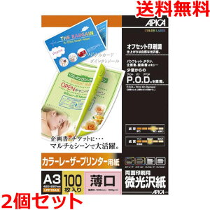 AsJ LPF10A3 J[[U[v^[p A3   ʈ 100×2 APICA