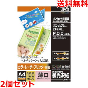 AsJ LPF10A4 J[[U[v^[p A4   ʈ 100×2 APICA