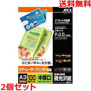 AsJ LPF12A3 J[[U[v^[p A3   ʈ 100×2 APICA