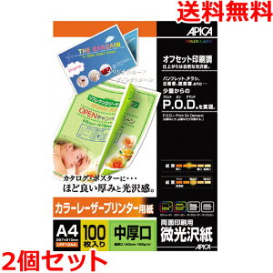AsJ LPF12A4 J[[U[v^[p A4   ʈ 100×2 APICA