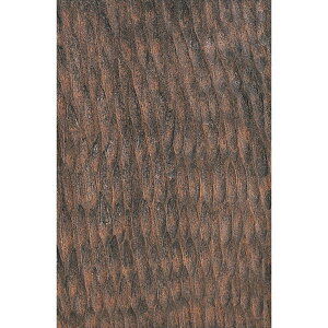 EbhXeC 500cc++ؒbNX+rj[ uE/`R/I[uF ؍HpF ؕph 