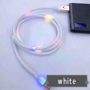LightningEType-CEMicroUSB  [dP[u iPhonep Androidp }Olbg ϊP[u ϊA_v^ LED CgjO P[u ^CvC }[d sJsJ  P[u 1g[