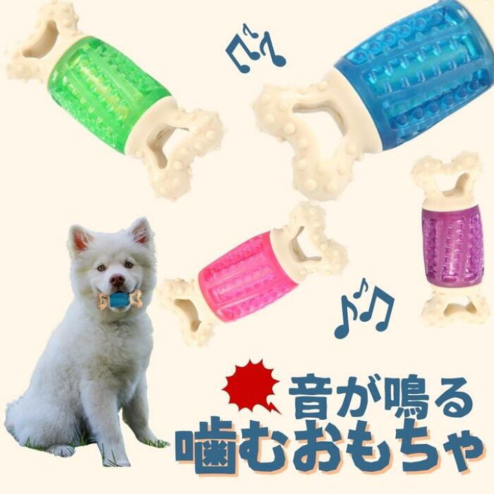 楽天市場 犬用 噛むおもちゃ ペット 歯磨き 玩具 音が鳴る いたずら防止 歯石防止 歯ぎしり 骨 かわいい 人気 小型犬 中型犬 大型犬 プレゼント 全犬種 送料無料 南国sun