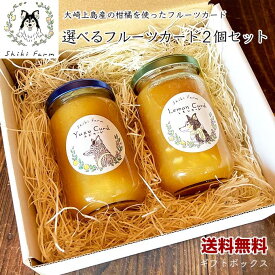【送料無料】フルーツカード 選べる2個セット ギフト 180g×2 シキファーム レモンカード ギフトセット 国産フルーツ使用 ナツミカン ユズ ダイダイ プレゼント クリスマス お祝い お礼 手土産 ギフト 母の日