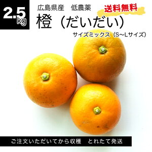 yzi_C_Cj2.5kg@LY I TCY S~L ƒp 13O   ߓ _ Ig̞