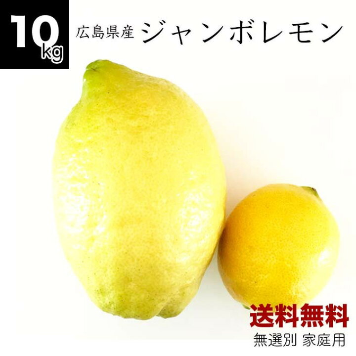 憧れ P36 愛知県産 国産 レモン れもん 檸檬 9〜12個入り