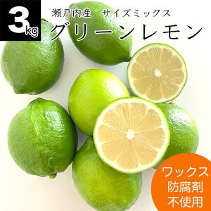 LY  3kg ˓Y t@[ O[ TCY~bNX ƒp Y ˓ m[bNX hܕsgp _ƒ Yn 