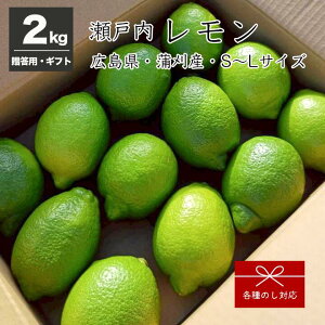 【送料無料】贈答用 広島県 蒲刈産 グリーンレモン 2kg S〜Lサイズ きむら柑橘農園 贈り物 ギフト 母の日 プレゼント お祝い 農家直送 産地直送 瀬戸内レモン 広島レモン
