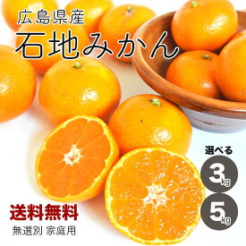 【送料無料】広島県産 石地みかん 2S〜Lサイズミックス いしじみかん 3kg 5kg 健ちゃんファームの石地みかん ご家庭用 みかん 甘いみかん 産地直送 農家直送 無選別
