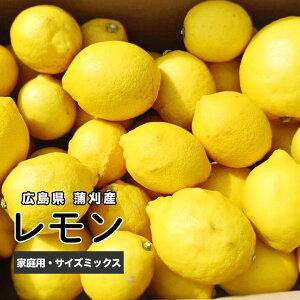 yzL Y O[ 5kg TCY~bNX ˓ Y ނ犹k_ _ƒ Yn L O[