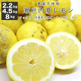農薬不使用 レモン 瀬戸内産 2.2kg 4.5kg 8kg 広島県産 健ちゃんファームの瀬戸内レモン サイズミックス 国産レモン 瀬戸内レモン ノーワックス 防腐剤不使用 農家直送 産地直送 送料無料