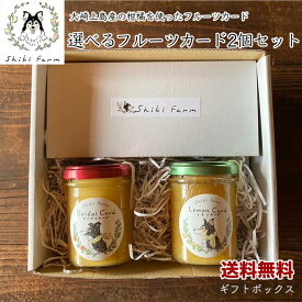 【送料無料】フルーツカード 選べる2個セット ギフト 100g×2 送料無料 シキファーム レモンカード ギフトセット 国産フルーツ使用 ナツミカン ユズ ダイダイ プレゼント クリスマス お祝い お礼 手土産 ギフト プチギフト 母の日