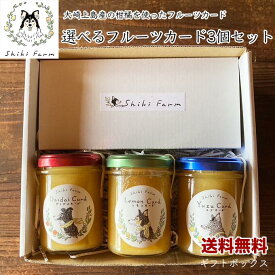 【送料無料】フルーツカード 選べる3個セット ギフト 100g×3 シキファーム レモンカード ギフトセット 国産フルーツ使用 ナツミカン ユズ ダイダイ プレゼント クリスマス お祝い お礼 手土産 ギフト 母の日 ギフト