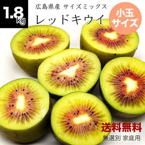 y121JnzyzLY bhLEC 1.8g 20`35O TCY~bNX() t@[ bhLEC _ Yn LEC LECt[c Â LEC