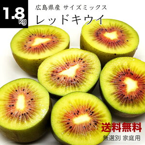 y121JnzyzLY bhLEC 1.8kg 20`28 TCY~bNX t@[ bhLEC _ Yn _ƒ LEC LECt[c