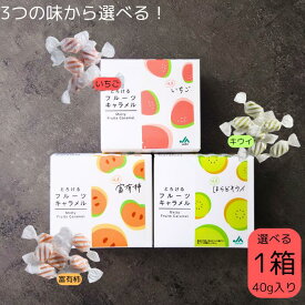 40g とろけるフルーツキャラメル 1箱 3種類から選べる1箱40g入り 岐阜いちご 岐阜富有柿 岐阜ほらどキウイ キャラメル ソフトキャラメル フルーツキャラメル なめらか食感 いちごキャラメル 苺 おやつ おかし ソフトキャンディ 口溶け ほらどキウイ かわいい お菓子