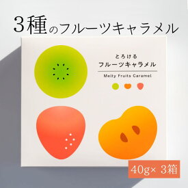 とろけるフルーツキャラメル ギフト ギフトボックス フルーツキャラメル お菓子 箱 プレゼント キャラメル 送料無料 選べるメッセージカード