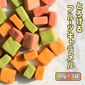 【訳あり】フルーツキャラメル ソフトキャンディ 推し活 いちご 富有柿 ほらどキウイ ミルク 飴 ミルクキャンディ 40g 選べる味 自宅用 自分用 規格外 お試し 個包装 キャラメル キャンディ 送料無料