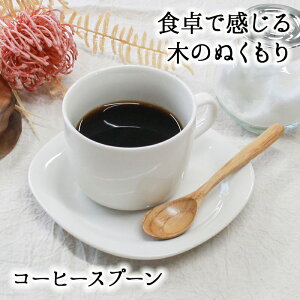 Xv[ Jg[   ؐ R[q[Xv[ eB[Xv[ Ɩp 킢  fU[gXv[ 13.8cm X[v  VRؐ H R[q[ fU[g JtF Vv I
