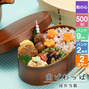 Ȃ ϕٓ ٓ ٓ ܂ 500ml Zbg l 킢  S d؂ 1i  ^ y q X jq j  Y e oh  {