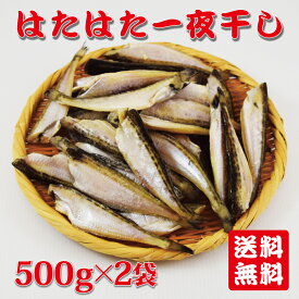 楽天市場 ハタ 魚 の通販