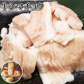 SALE シマチョウ約500g・1kg・2kg・3kg前後　タレ無　焼肉 BBQ 焼くだけ簡単　ホルモン　脂　キャンプ飯　牛肉　肉　お好みの味付けで　塩コショウで 約3×4cmカット 一口用