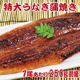 1尾あたり250g前後 特大うなぎ蒲焼きセット 訳あり 特製たれ & 山椒付