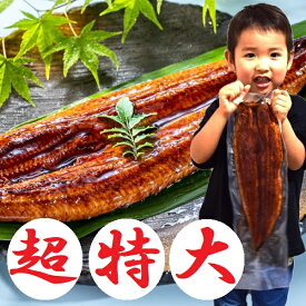 SALE 超特大うなぎ蒲焼き1尾セット・2尾セット (1尾あたり350g-430g) 訳あり 特製たれ & 山椒付