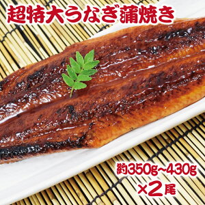 傤ȂĂ1ZbgE2Zbg (1350g-430g) 󂠂  & Rt