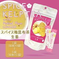 生姜入り梅昆布茶10袋入り（10杯分） レシピ入り 高知県産黄金生姜使用 紀州南高梅 北海道産真昆布使用 …