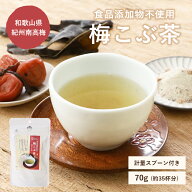 無添加 梅昆布茶 70g 35杯分 計量スプーン付き 食品添加物不使用 和歌山県紀州南高梅 しいたけ かつお だ…