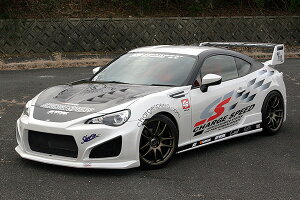 `[WXs[h BRZ ZC6 op[ TYPE-1 3_Zbg