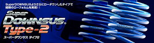 yN[|zzzESPELIR/GXyA@X[p[_ETX@Type2@1䕪 XYL fB/SCESGC27 2^ iԁFESS6539