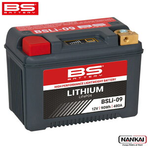 y12/10聚Iōő100%PobN(vGg[/24Ԍ)z BSobe[ BS`ECIobe[ BSLi-09